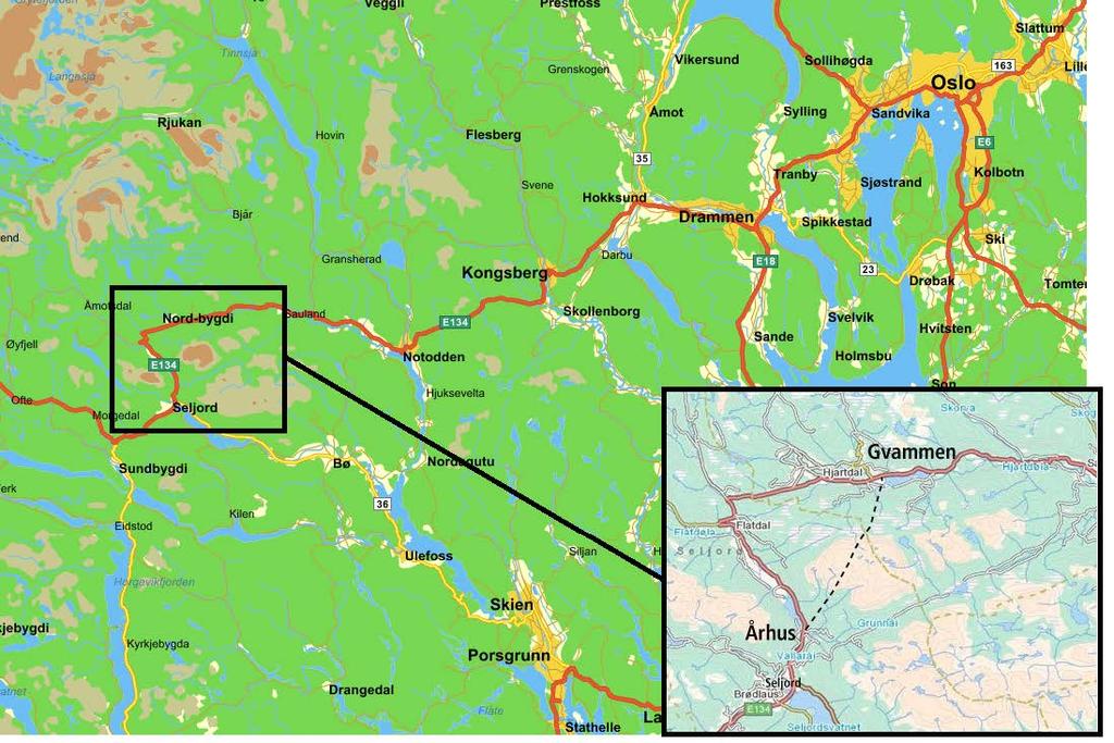 1 INNLEDNING 1.1 BAKGRUNN OG HENSIKT Statens vegvesen Region sør planlegger omlegging av E134 mellom Gvammen i Hjartdal kommune og Århus I Seljord kommune.