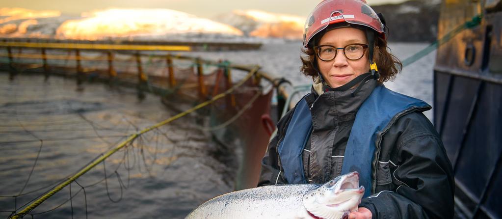 HAVBRUK Norsk havbruksnæring produserer fisk, bygger samfunn og driver innovasjon i høyt tempo.