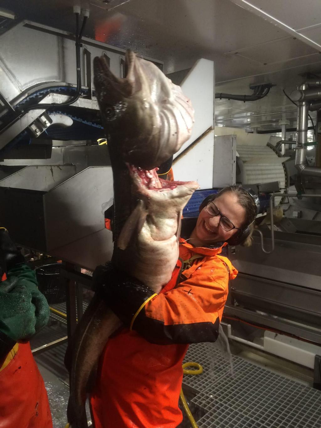 Lærebedrift Havfisk «Årets lærebedrift» i 2015 Lærlinger i Lerøy Aurora, Midt og Sjøtroll Lærlinger i Lerøy Norway Seafood