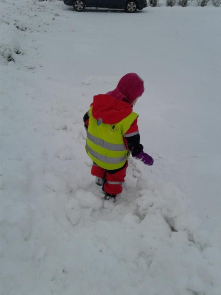 Månedsbrev for januar på Toddlerne Nå har vi kommet godt i gang med ett nytt år, og januar har vært en fin og rolig måned på Toddlerne.