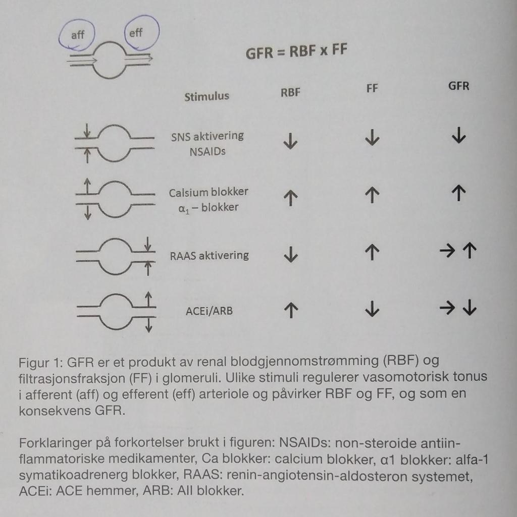 Behandling og prognose Sympaticus aktivering