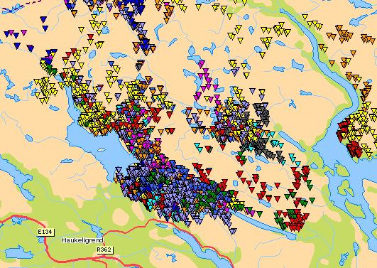 Se Figur 3 og 4 som viser GPS merka villrein i kalvingsperioden 2011 og 2013, med posisjoner knyttet til flere av vannmagasinene i konsesjonen.