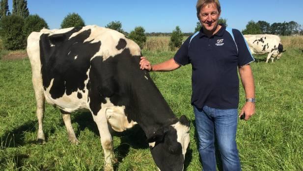 Mycoplasma confirmed in cattle on farm