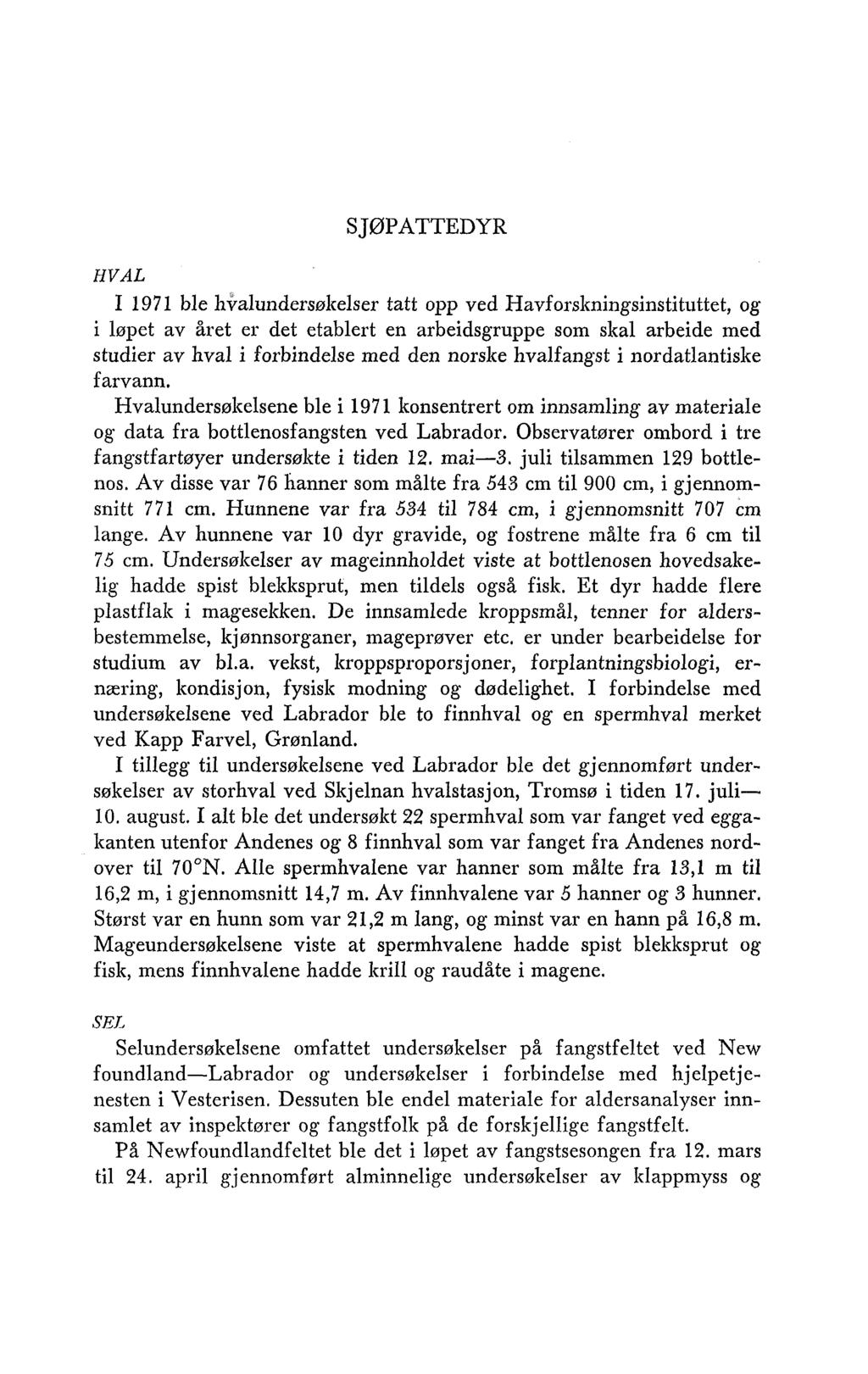 S JØPATTEDYR HVAL I 1971 ble hvalundersølzelser tatt opp ved Havforslzningsinstituttet, og i løpet av året er det etablert en arbeidsgruppe som skal arbeide med studier av hval i forbindelse med den