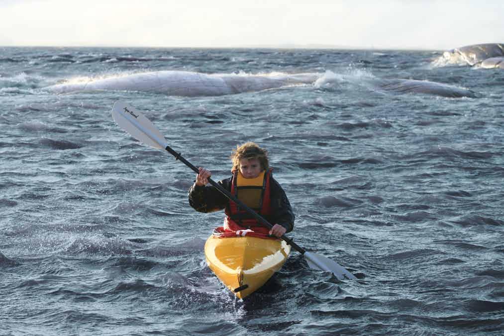 12 ASLE K400 Den første padleopplevelsen > For folk som liker padling har Norge en fantastisk natur å fremvise. Interessen man får i voksen alder avhenger mye av opplevelser i barndommen.