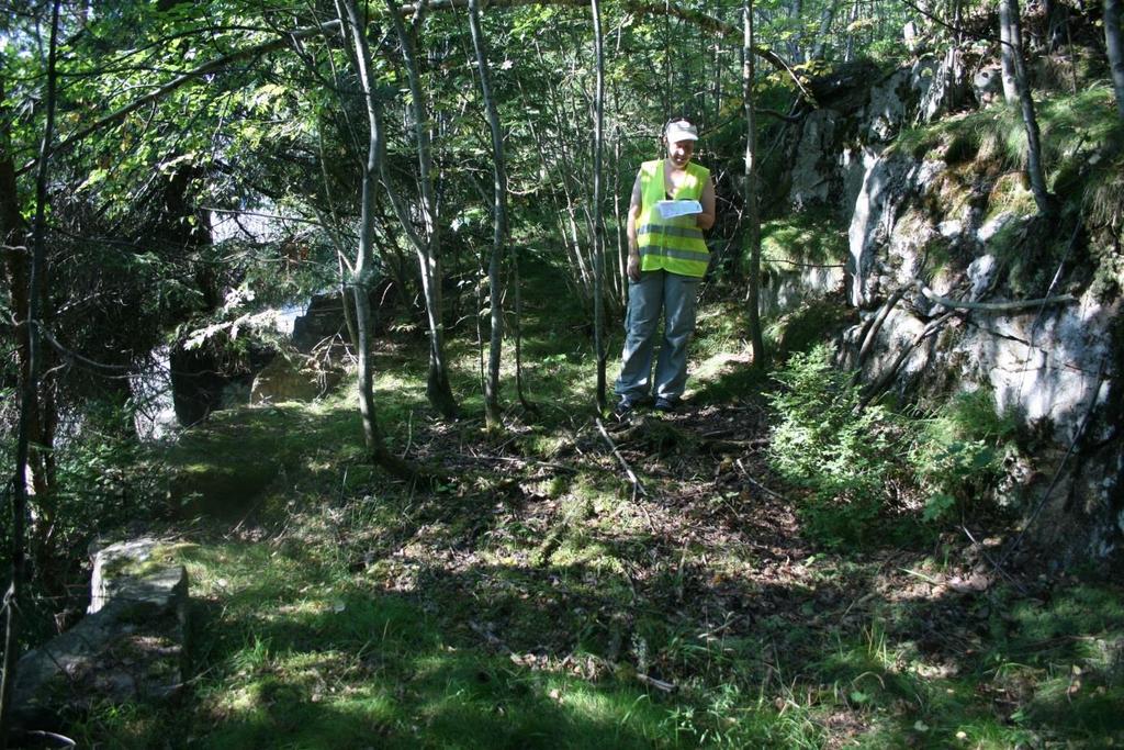 Steinbrudd fra nyere tid på Lerberg gbnr. 100/1 Langs hele bergryggen i sørøstre del av planområdet er det brutt ut stein. Steinuttakene strekker seg over ca.