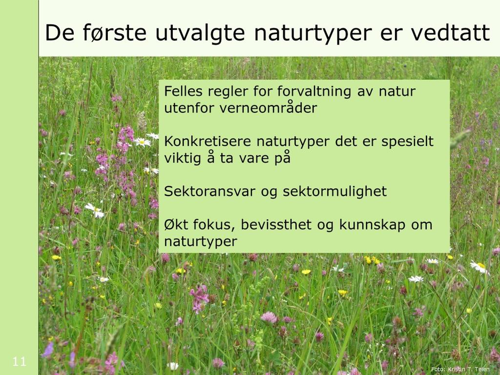 Forrige uke ble de første fem utvalgte naturtypene i Norge vedtatt i statsråd, i en forskrift etter naturmangfoldloven. Første runde med utvalgte naturtyper har vært et spennende nybrottsarbeid.