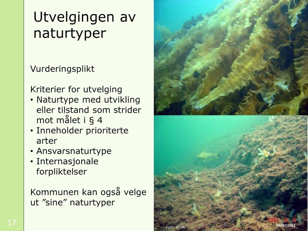 Regler om utvalgte naturtyper finner vi i naturmangfoldloven. Det er vurderingsplikt når vitenskapelig kunnskap viser at natur er truet. Vurderingen baseres på eksisterende kunnskapsbaser.