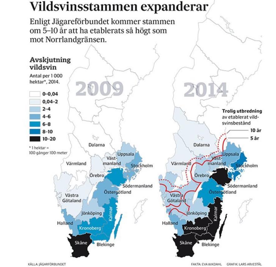 Bakgrunn - roller Grunneier har forvalterrollen og forvalteransvaret.