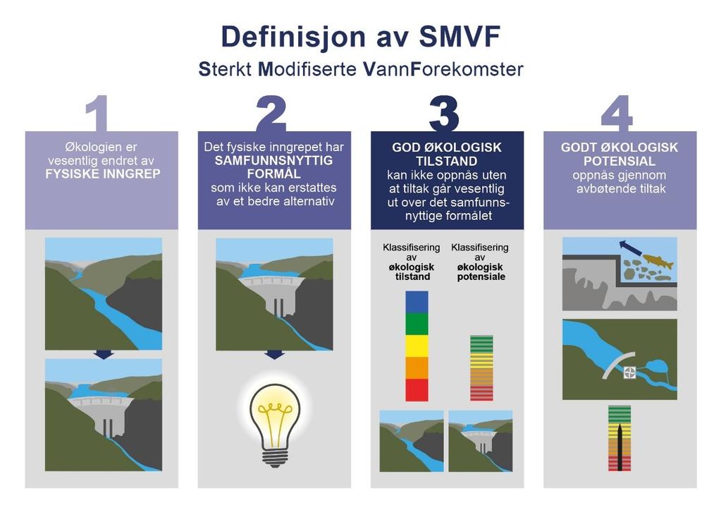 Illustrasjon 2: definisjon SMVF Figur 1b: Oversikt over det økologiske