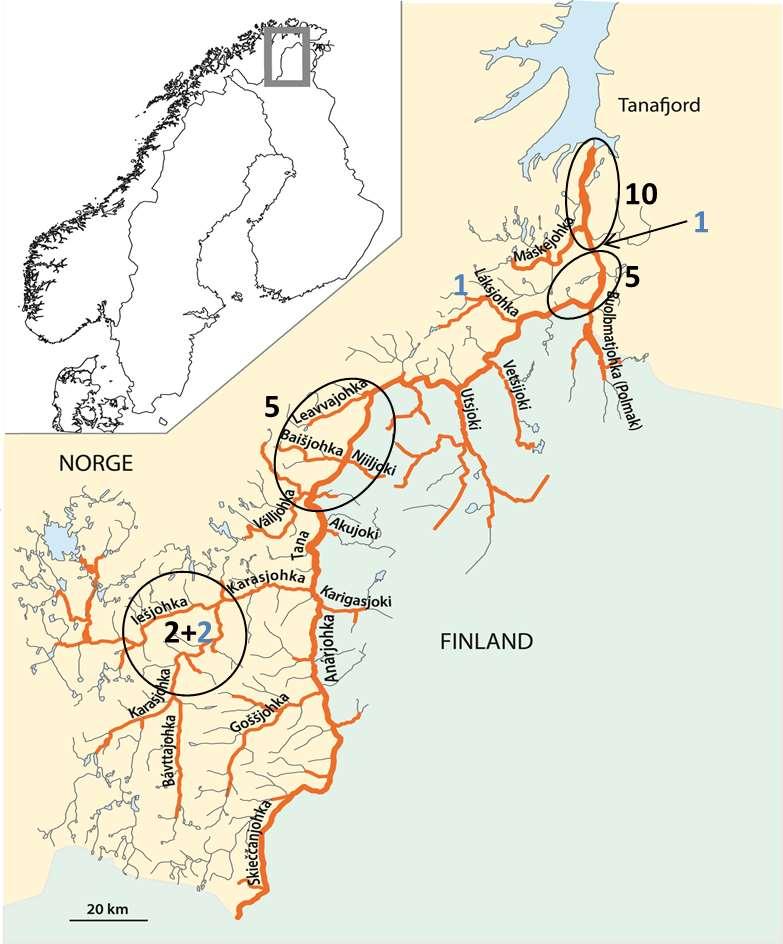 Metode Strategi for å samle inn skjellprøver i Tanavassdraget Siden oppstarten av skjellprøveprosjektet i regi av Laksebreveierne i Tanavassdraget (LBT) i 1997 har en knyttet til seg et utvalg av