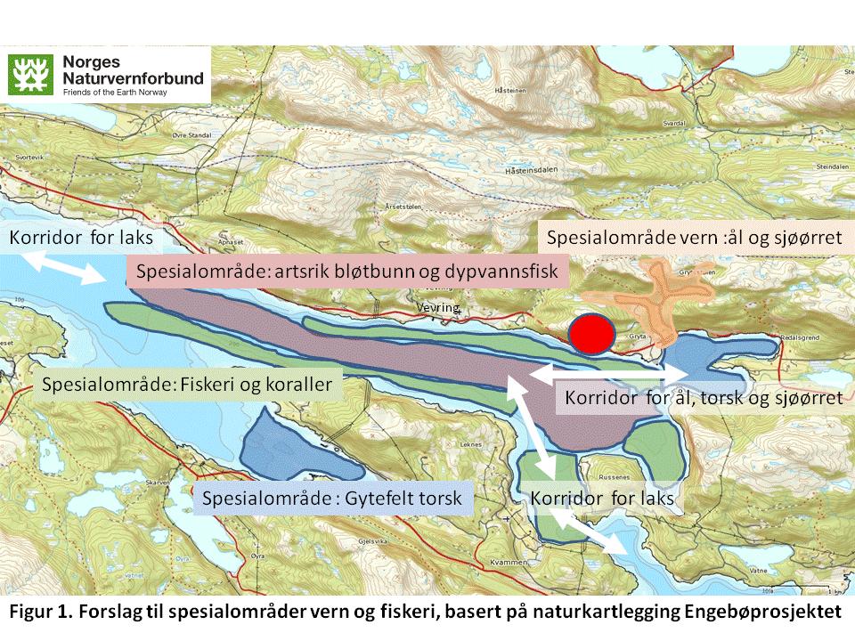 Konklusjon og anbefaling Nordic Mining skal ha honnør for å brukt betydelige ressurser på naturkartlegging i det geografiske området for sine bergverksplaner, og for å ha forsøkt å konsekvensutrede