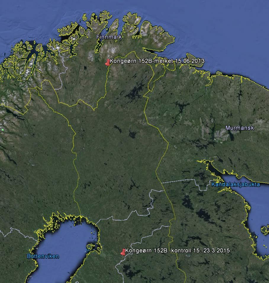 Figur 8. Kart med plassering av merke- og kontrollsted for en kongeørn som ble ringmerket i Karasjok i 2013. 4.