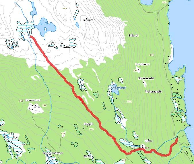 83 Tyrifeltet Hyttevei sør for FV120 ved Tyrifeltet Navneforslag: