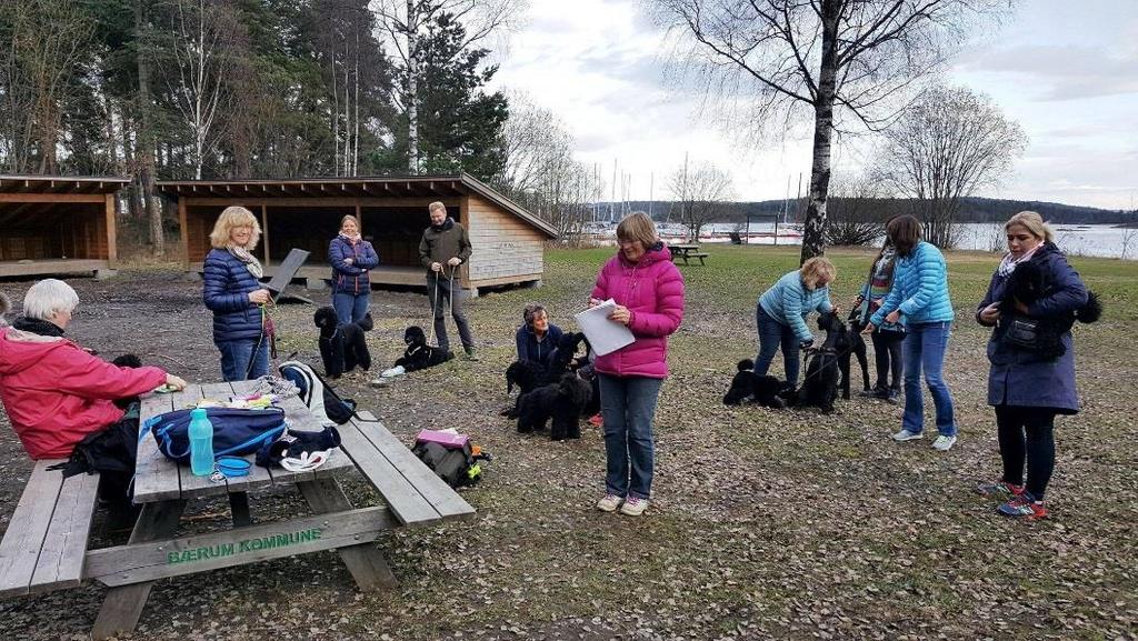 Puddeltreff 24.april Vi kunne igjen møtes på den fine sletta på Blommenholm.