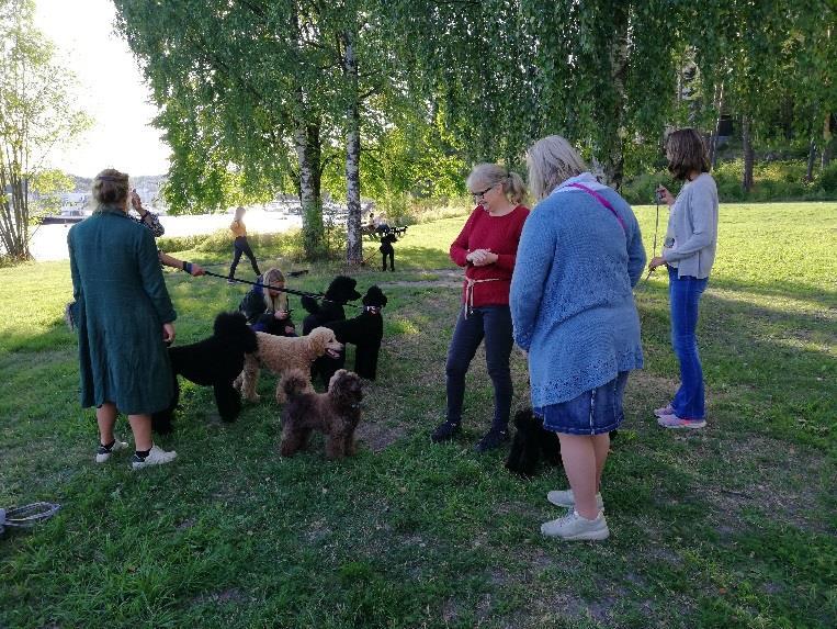 De raskeste i hver størrelse ble: 1. Nera Ida 2. Yatzy Inger 3. Kokos Ida 4. Teddy Line 1. Vegas Katrine 2. Braidy Hilde 3. Olli Siri 4.