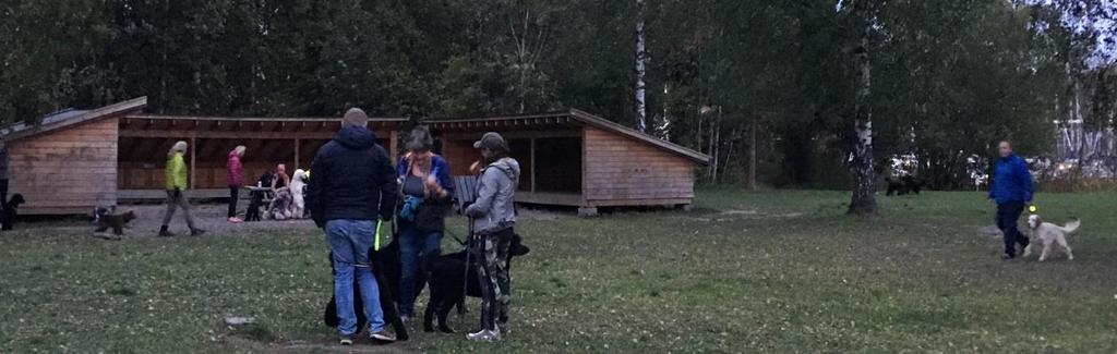 Puddeltreff 25. september på Blommenholm Det ble nok en hyggelig kveld med yrende liv på sletta. Flere nye var det også, og jeg håper de koste seg. 43 hunder deltok på sprinten med stor entusiasme.