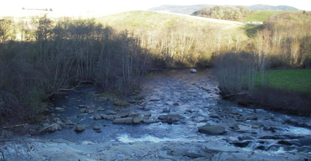 Røddesfossen (Figur 8). Det er foreløpig usikkert hvorvidt det kan finnes lenger oppe i vassdraget.