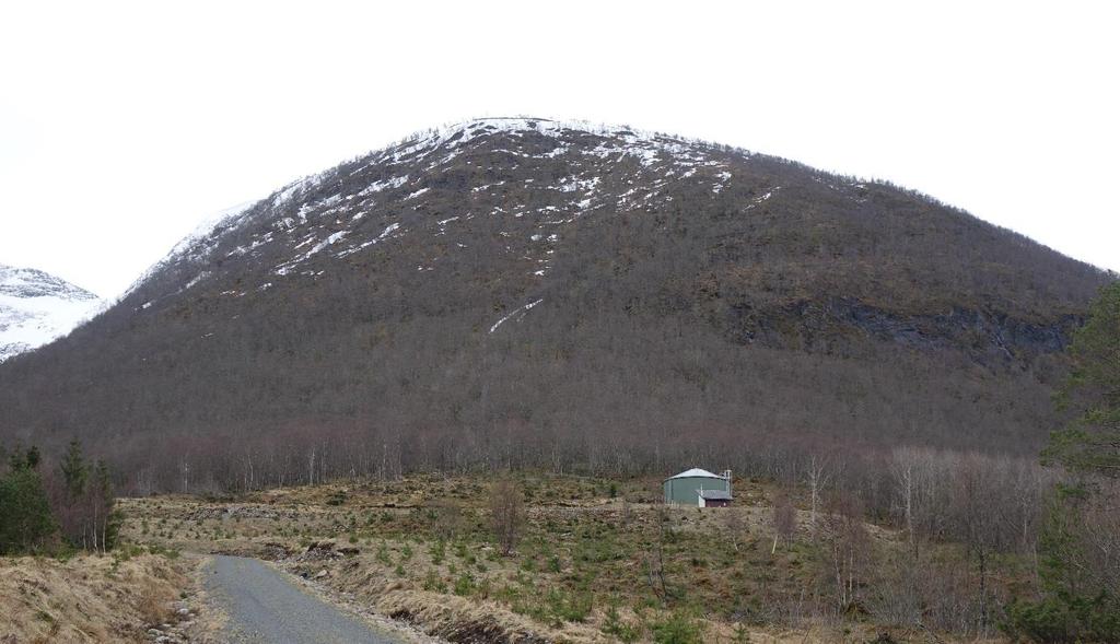 Høgdebasseng Figur 4 Oversiktsbilde av den nordvestvendte fjellsida søraust for det vurderte området. Bilete er teke frå nordvest mot søraust. Ca.