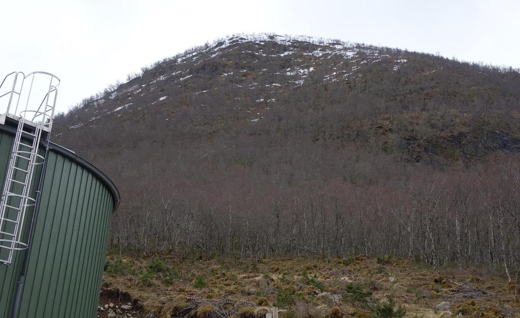 Vi vurderer at det er eit potensielt løysneområde i botnformasjonen øvst i fjellsida over høgdebassenget (Figur 9).