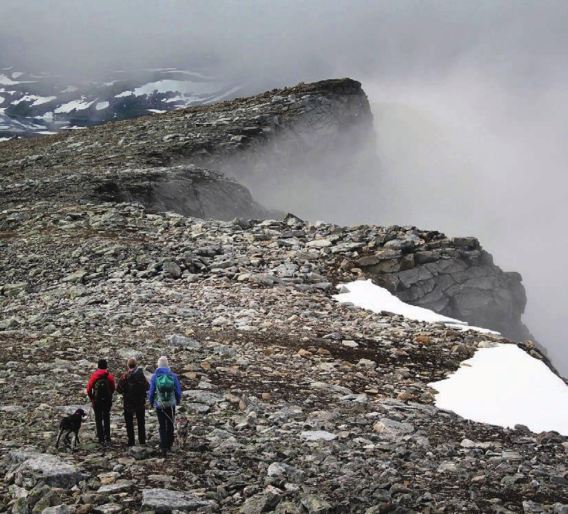 30.9. TURNAVN Tur til Tåkeheimen og Helgelandsbukken (1454 moh) ekspedisjon Camp Storjordstua Drogvasstind (844 moh) Bamsetur til Soløyvatnet