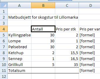 Arbeidsrekkefølge Planlegg modellen på papir (vektlegg oversiktlighet og fleksibilitet) Skriv inn ledetekster Registrer tekst vertikalt Registrer tall vertikalt Formater tall og tekst Formater