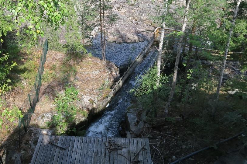 Overvannskanal/ålekanal Det har vært og er fortsatt ål i vassdraget.