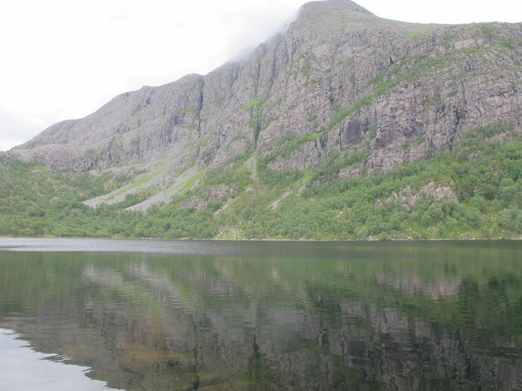 del av lokaliteten Skudalsvatnet sør.