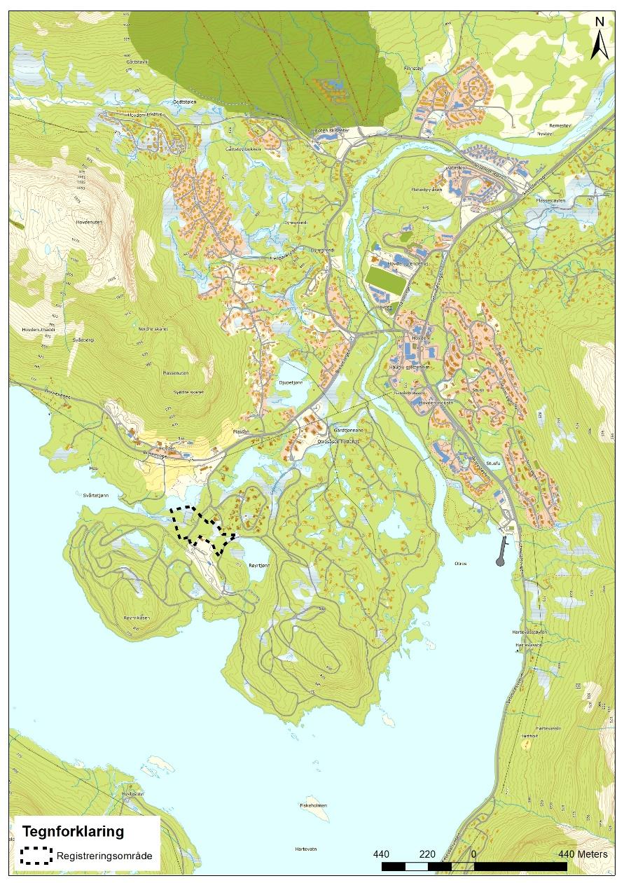 Området Registreringsområdet ligger sentralt på Hovden ved skianlegget på Røyrvikåsen (se kart til høyre). Røyrvikvegen går i gjennom planområdet.