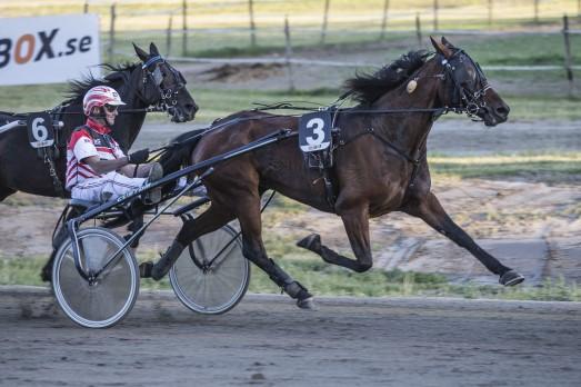 9,5 Eier: Arne Geir ensen Trener: Arne Geir ensen