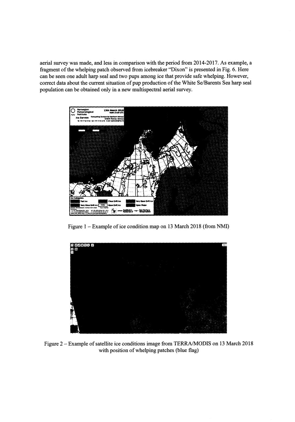 aerialsurveywasmade, and less in comparisonwith the period from2014-2017.as example,a fragmentof the whelpingpatch observedfromicebreaker"dixon" is presentedin Fig. 6.