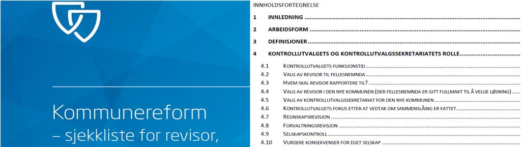 Forvaltningsrevisjon og selskapskontroll i samanslåingsperioden? Pkt. 4.