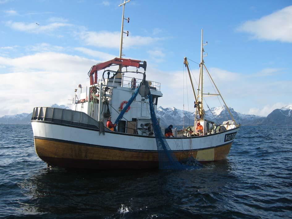 C Struktur og deltagelse Snurrevadfiske, Lofoten mars 2003.