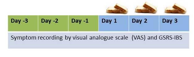 Open bread challenge 52 NCGS Gastroent: Clinical assessment, exclusion of CD Dietician: Dietary assessment Foodsymptomrelation Challenge instructions Patient: Continuation