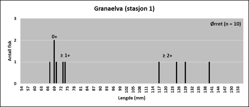 Kart over undersøkt strekning av Granaelva Stasjon 1 Granaelva Elfiske på stasjon 1 viste en beregnet tetthet av ungfisk på