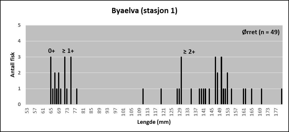 Figur 4. Antall ørretunger, lengdefordeling og antatte aldersgrupper på stasjon 1 i Byaelva.