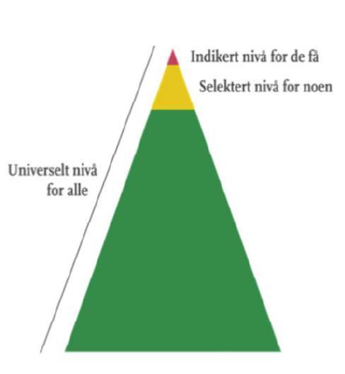 Hvorfor trenger vi en slik undersøkelse?