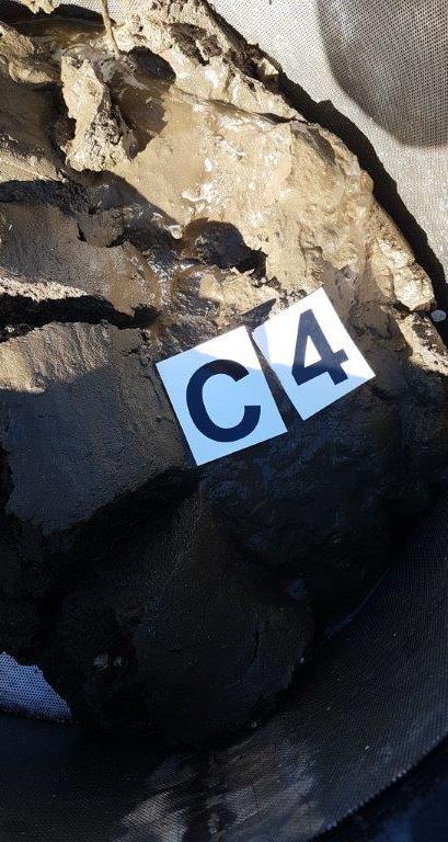 rapport i Vedlegg A). Foto: Aqua Kompetanse AS. Figur 9: Bilde av sedimentet ved C4.