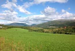 Typen består i hovedsak av de store og sammenhengende hoveddalsystemene fra høgfjellet og ned mot fjordene.