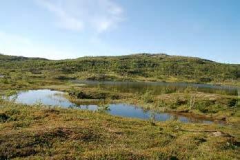 Bilde 15 LO 2634 Gåsvatnet i Bodø.