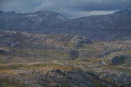 Bilde 24 LO 1814 Bieslåpptå i Tysfjord Bilde 25. LO 2172 Bjøllådalen i Rana.