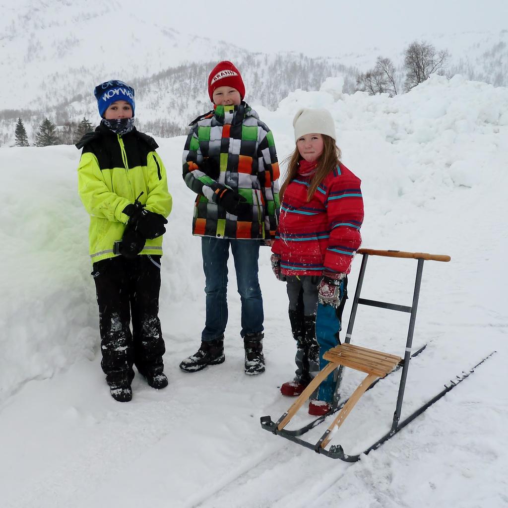 Vintervèr i Eksingedalen Innlevert av 4. og 7.