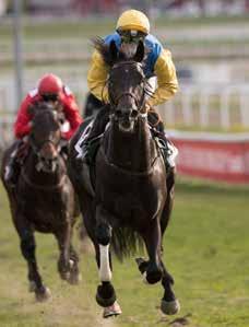 Storartet Guineas-dag Our Last Summer Årets første klassiker er hovedoppslaget torsdag. Glimrende treåringer møtes i Norsk 2000 Guineas, og mer enn halve feltet er vinnerkandidater.