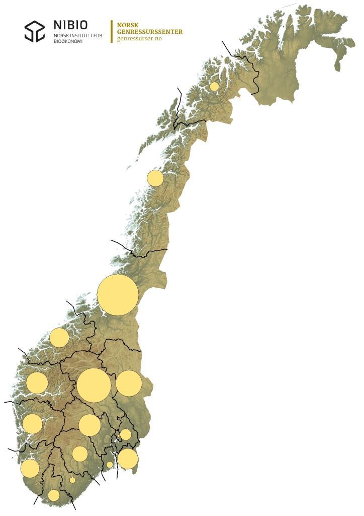 Antall kyr av de bevaringsverdige storferasene fordelt på fylke i 2017.