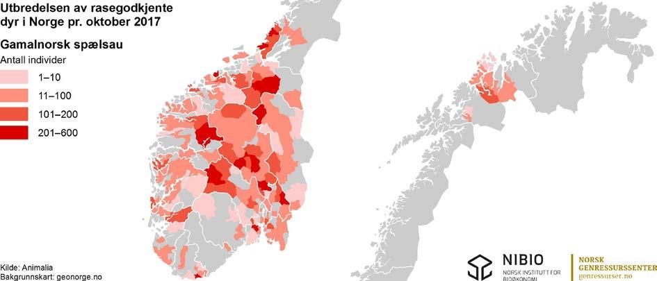 Figur 18. Utbredelsen av rasegodkjente dyr (søyer, værer og lam) av grå trønder i oktober 2017. Figur 19.