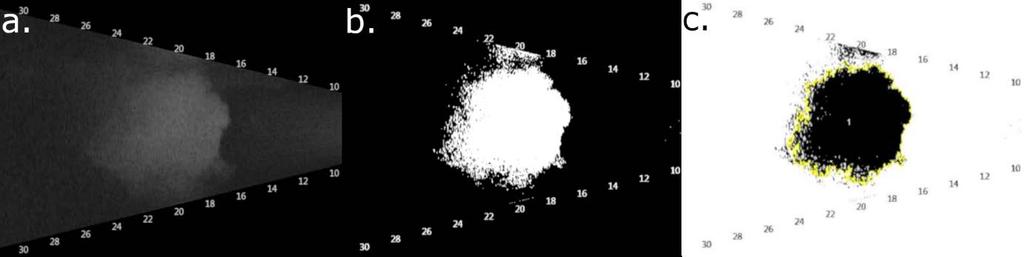 Figur 3. Bildeanalyse av skjermdump fra Aris sonar. Visualisering av luftbobler fra baugpropell som skjermdump fra Aris i svart-hvitt (a.), segmenterte data i Image J (b.