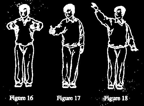 31.11. Passiv holding av motstander 31.11.1. Kampdommeren holder armene i en sirkel foran kroppen (fig. 16). 31.12. Tre sekunder 31.12.1. Kampdommeren strekker en arm ut med håndflaten opp pekende