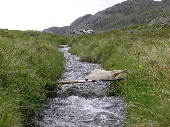 Utløpsbekken har trolig en relativt jevn vannføring. Bunnsubstratet består av middels stor stein, småstein og grus. Prøvene ble tatt omkring 100 m nedstrøms utløpet.