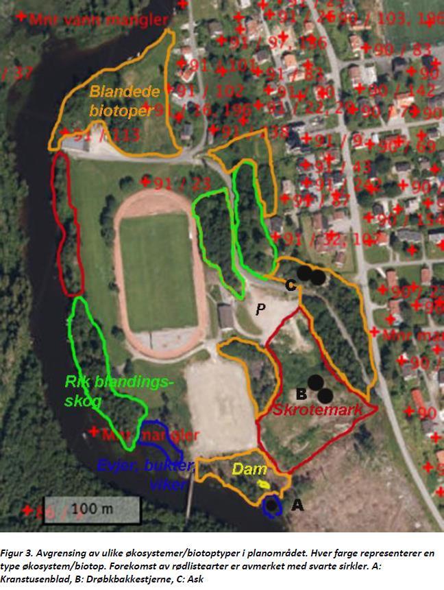 1 4 2 5 3 6 Avgrensning av ulike økosystemer og biotoptyper i planområdet for Bommen. Hentet fra naturmangfoldrapporten side 11. Tallene er påsatt for henvisning til område beskrevet i tiltaksplanen.