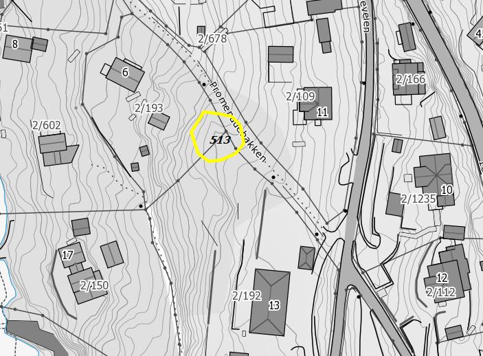 513 Promenadebakken b Store gamle trær Eik Verdi: C Areal : daa Innledning: Lokaliteten ble kartlagt av BioFokus v/ole J. Lønnve den 14. og 16.
